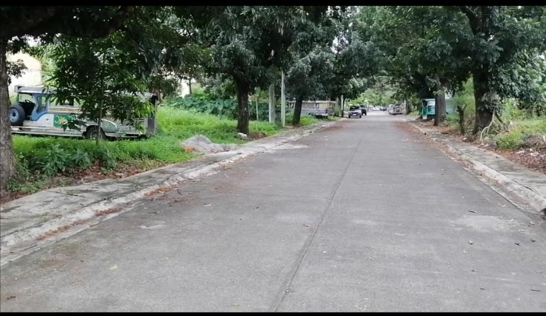 Villa Vienna Subdivision NEOPOLITAN 1B Greater Lagro Quezon City / 300