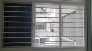 (Category: ) located in . Submitted by jaykenskygrille (Listing ID 1048206595, Image 1). Description: .