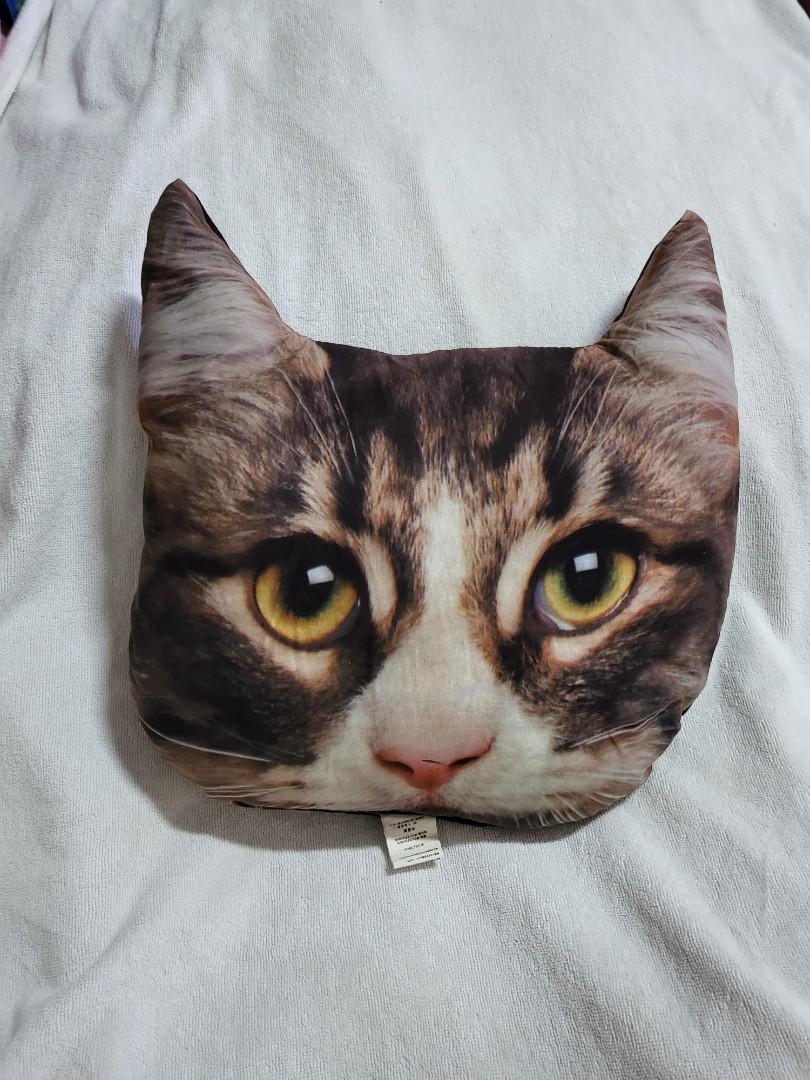 Daiso cat cushion hotsell