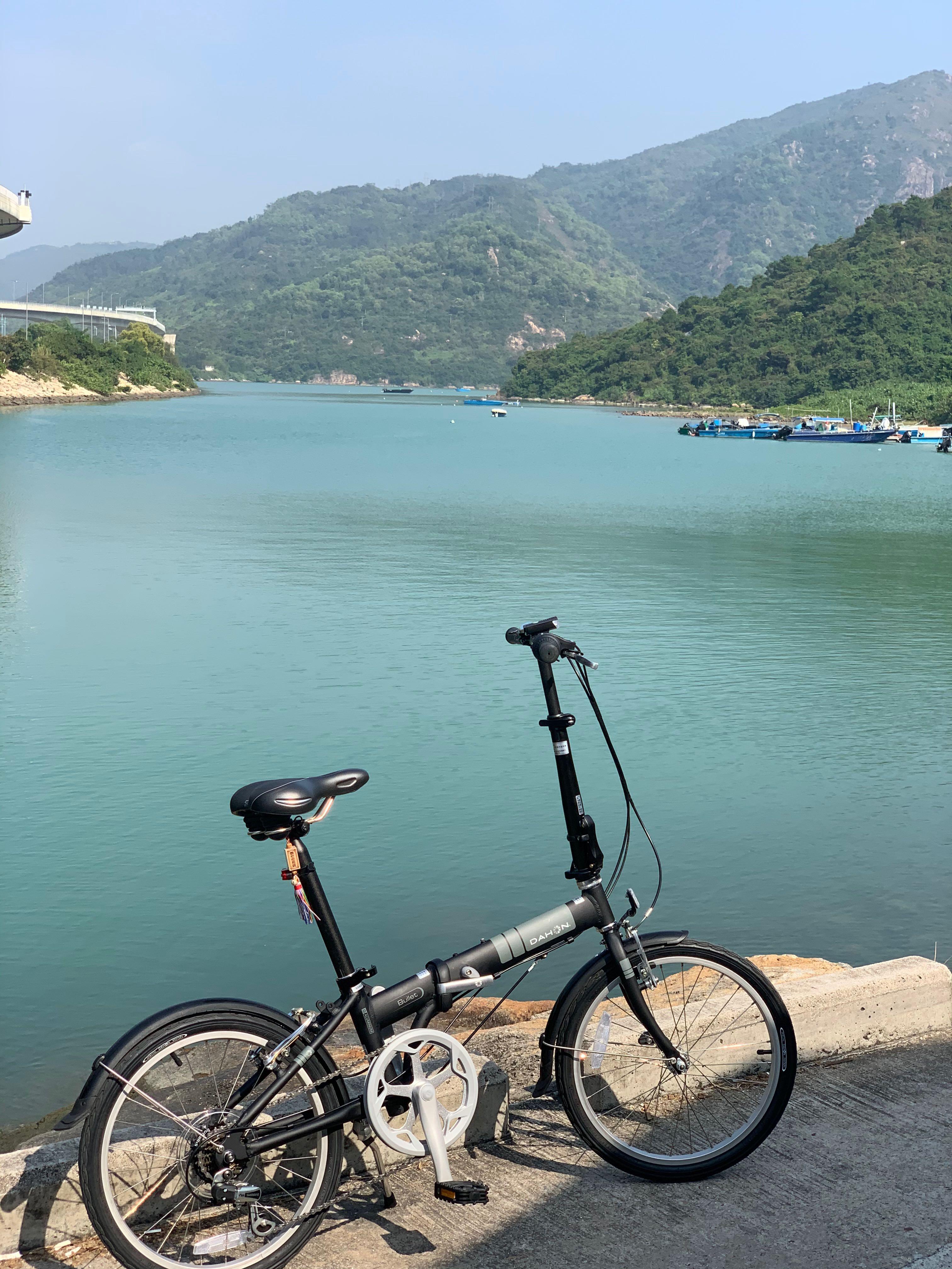Dahon discount bullet kaa061