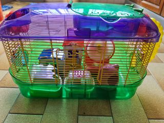 (Category: ) located in . Submitted by zredz (Listing ID 1137531472, Image 1). Description: .