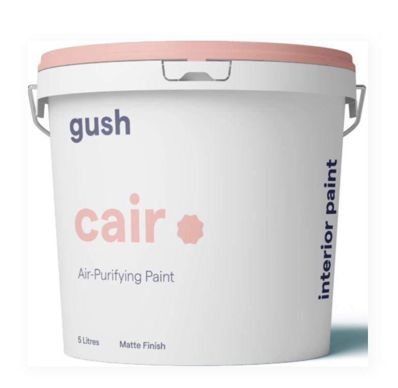 Gush 20 litres paint, Everything Else on Carousell