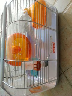 (Category: ) located in . Submitted by sonalshah123 (Listing ID 1137471039, Image 1). Description: .