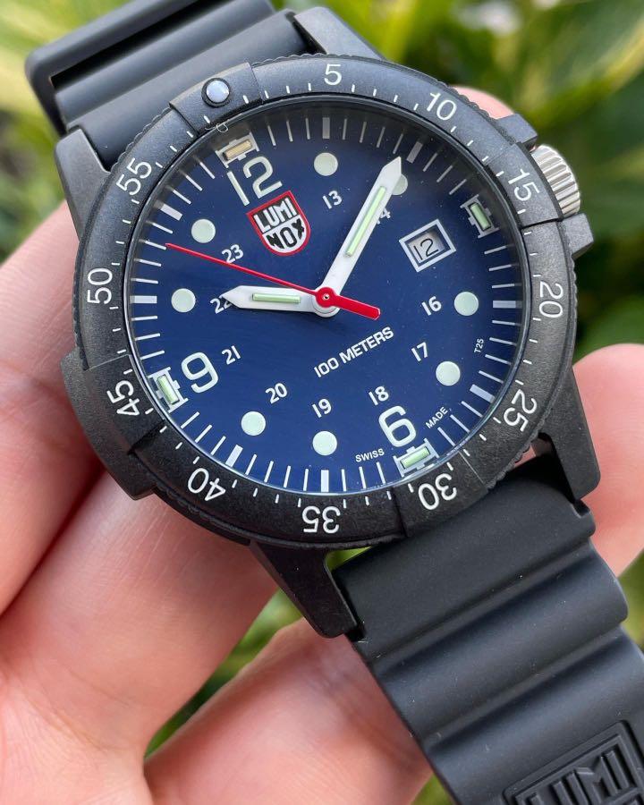 Luminox sea deals turtle blue