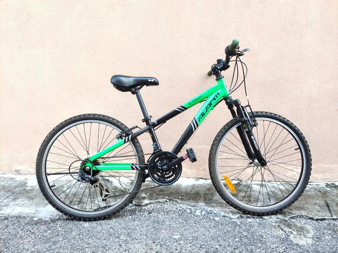 Avanti 24 inch mountain bike store