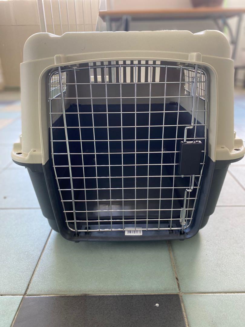Pet travel crate, Pet Supplies, Homes & Other Pet Accessories on Carousell