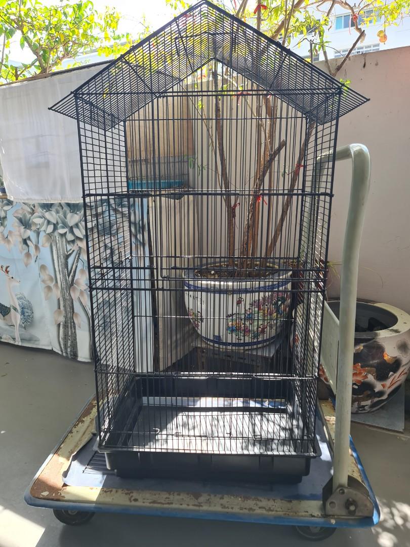 Tall cages hot sale for sale
