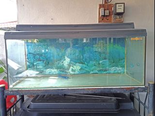 (Category: ) located in . Submitted by tsukimrcxn (Listing ID 1137695126, Image 1). Description: .