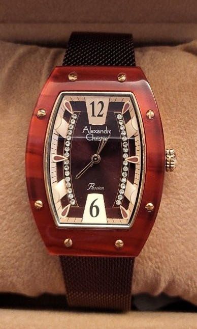 Alexandre christie cheap steel watch