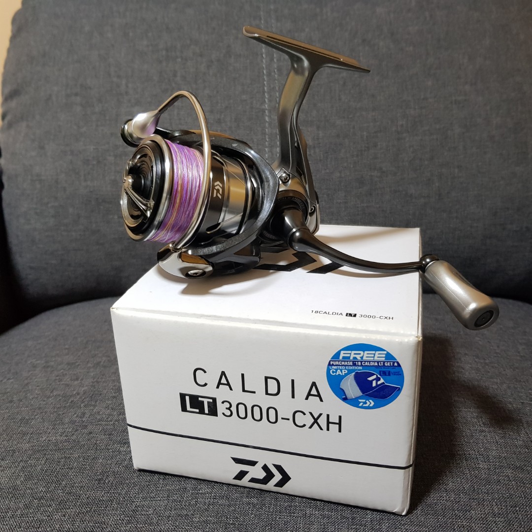 Daiwa Caldia LT 3000, Sports Equipment, Fishing on Carousell