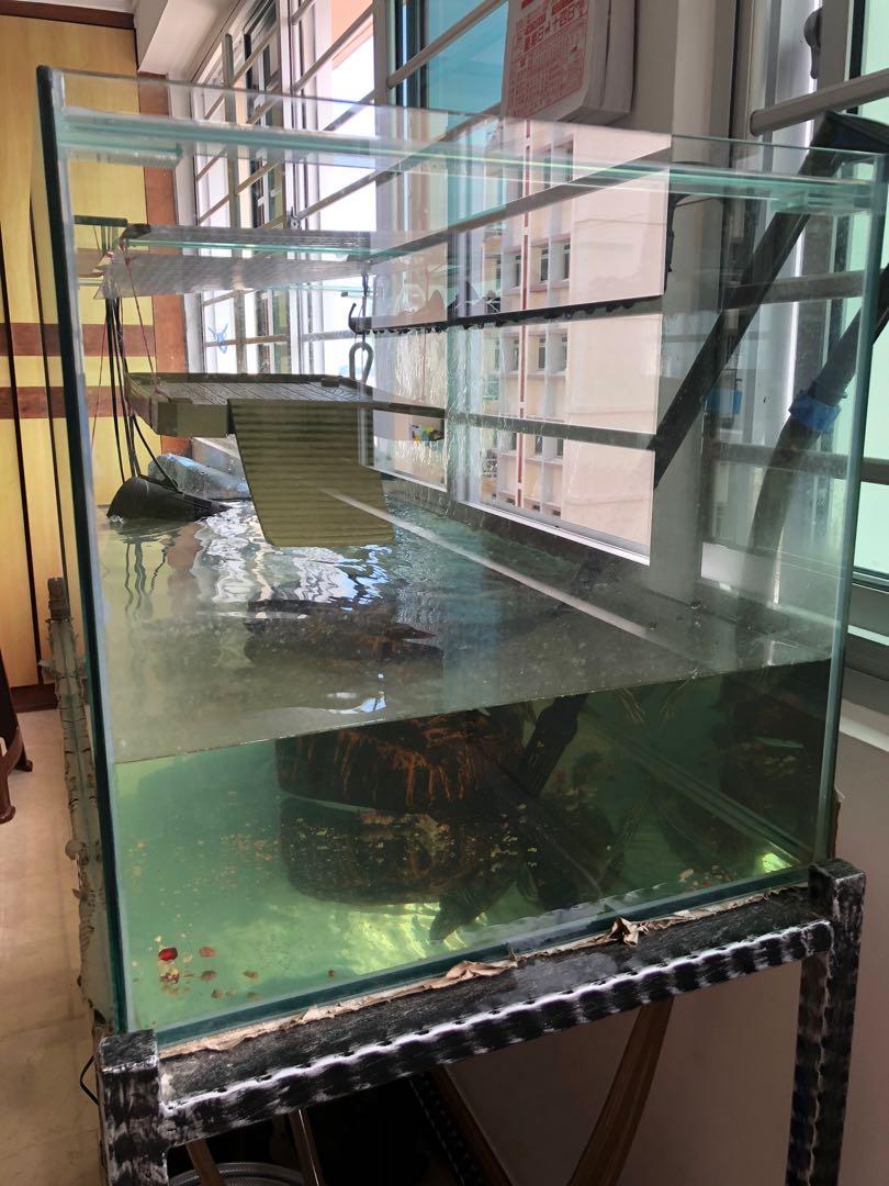 Glass Fish Tank, Stand and Filter Pump, Pet Supplies, Homes & Other Pet