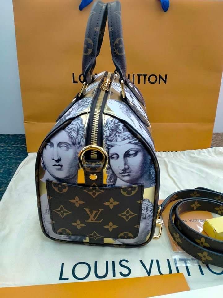 LV Fornasetti Speedy 25 - Kaialux