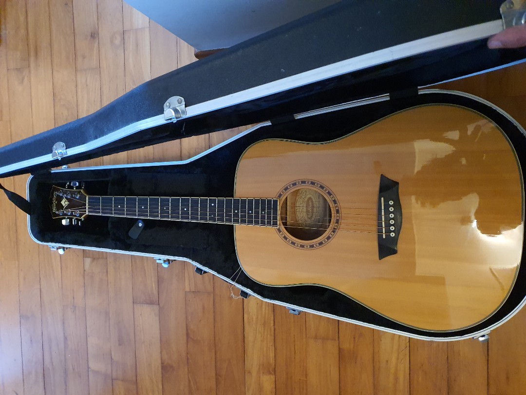 Washburn acoustic guitar + hard case, Hobbies & Toys, Music & Media
