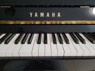 （分類：）位於 。 由 fong.m 提交（商品編號 1137810110，圖片 1）。簡介： 。