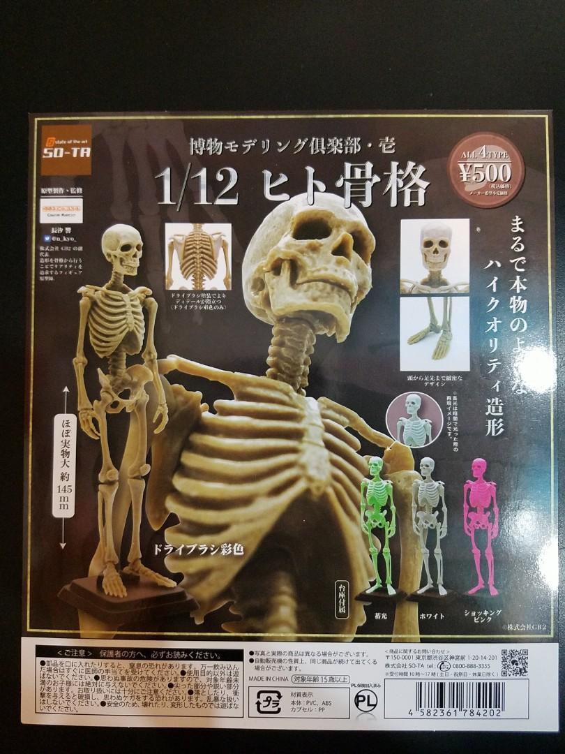 1 12 骷髏骨格全4種 日版 興趣及遊戲 玩具 遊戲類on Carousell