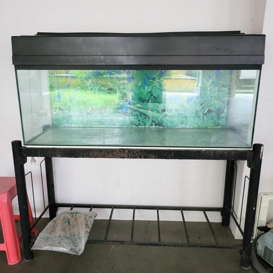 4 Feet Fish Tank (122 X 46 X 42.5 Cm) Including Fish Tank Metal Stand,  Cover And Aquarium Pebbles, Pet Supplies, Homes & Other Pet Accessories On  Carousell