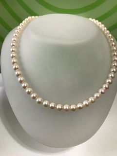 （分類：）位於 。 由 charlesmbc 提交（商品編號 1137944106，圖片 1）。簡介： 。
