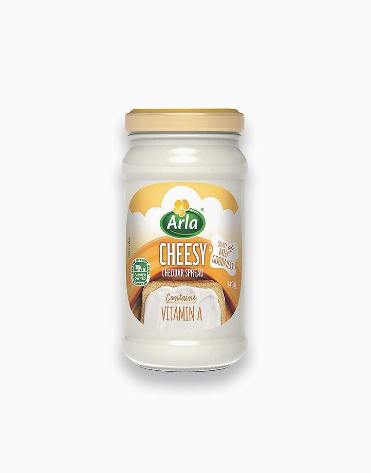 Arla Cheesy Spread Cheddar 240g, Health & Nutrition, Health Supplements