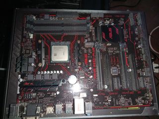 (Category: ) located in . Submitted by esazon (Listing ID 1138098605, Image 1). Description: .