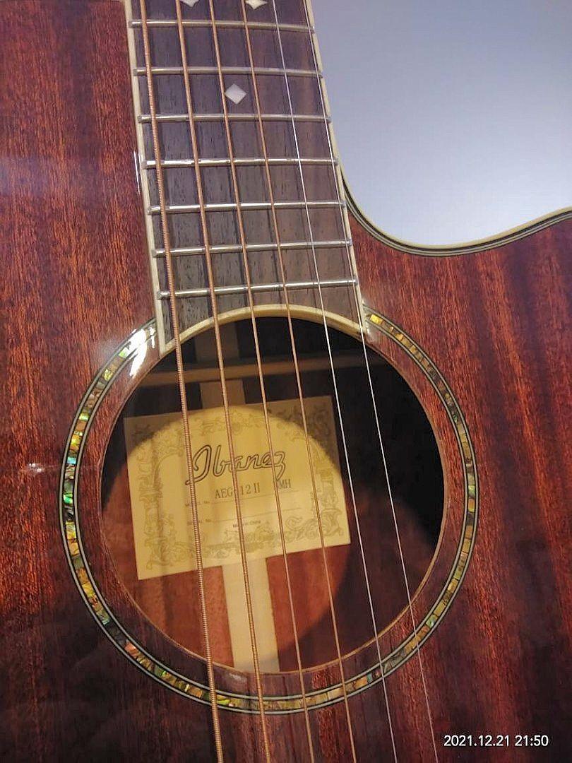 Ibanez aeg1211 sales