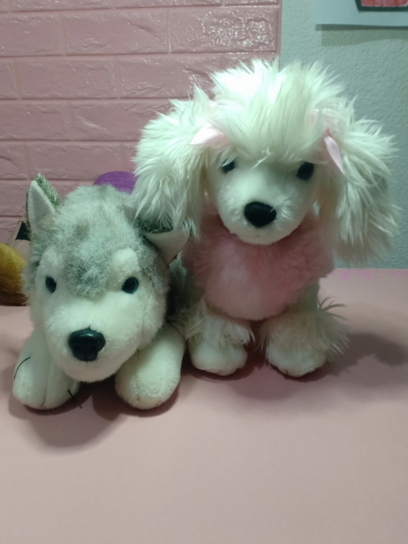 Keel toys plushed dog, Hobbies \u0026 Toys 