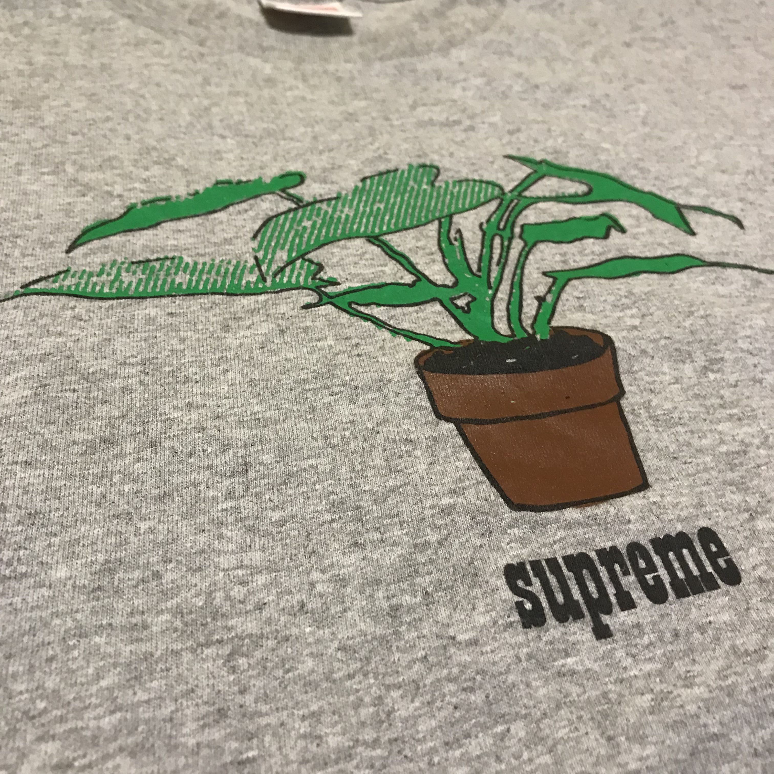 Supreme Plant Tee, Men's Fashion, Tops 
