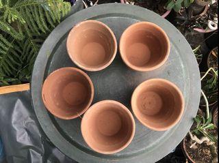 Terracotta Pot / Clay Pot