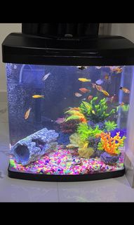 (Category: ) located in . Submitted by feeq89 (Listing ID 1138308646, Image 1). Description: .