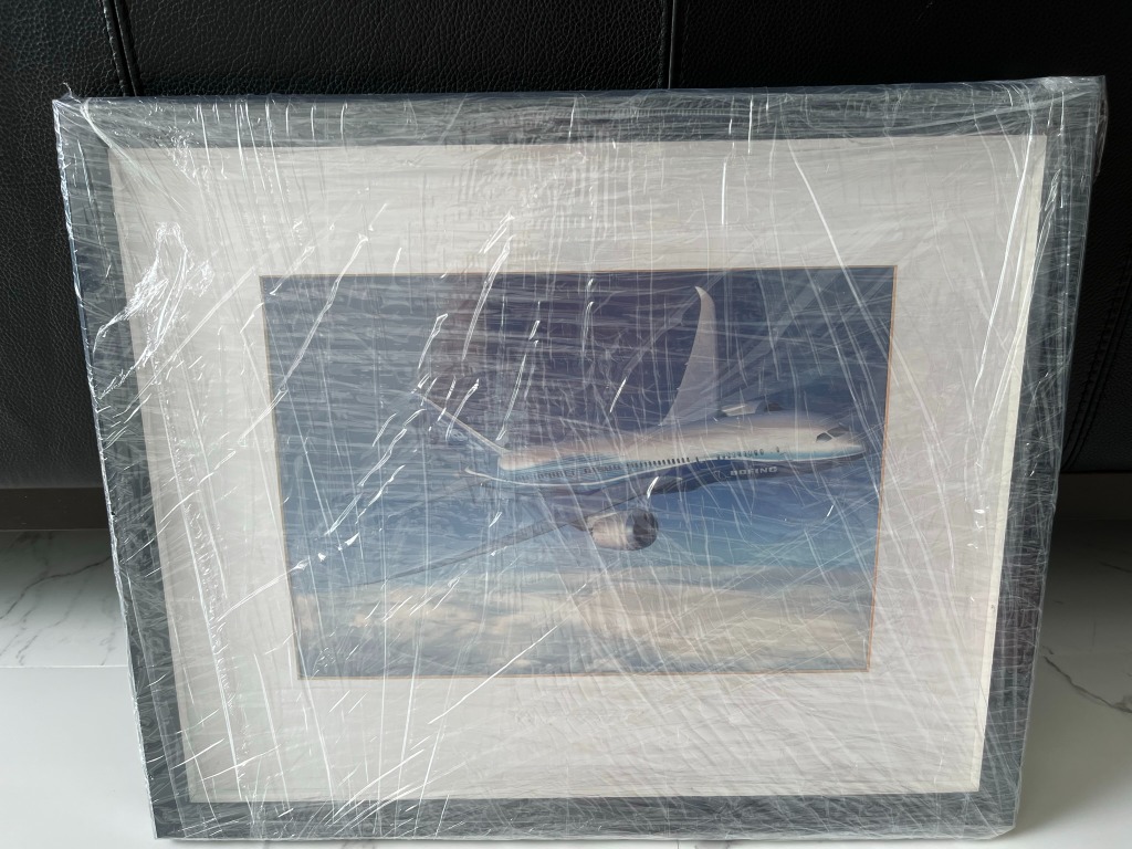 Boeing 787 Picture Frame Poster, Furniture & Home Living, Home Decor ...