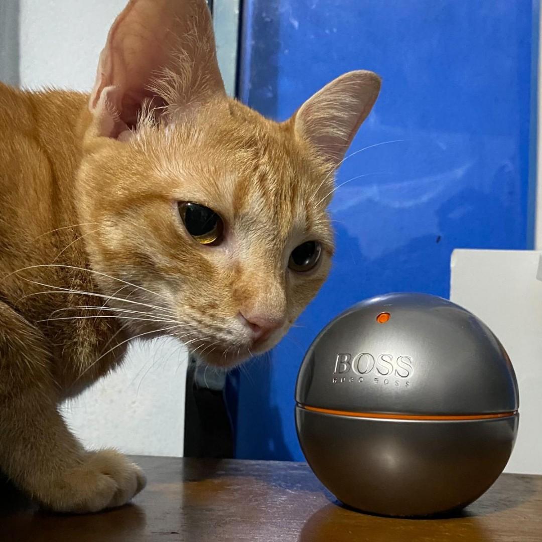 BOSS IN MOTION BY HUGO BOSS NEW IN BOX 90ML EAU DE TOILETTE SPRAY MEN Beauty Personal Care Fragrance Deodorants on Carousell