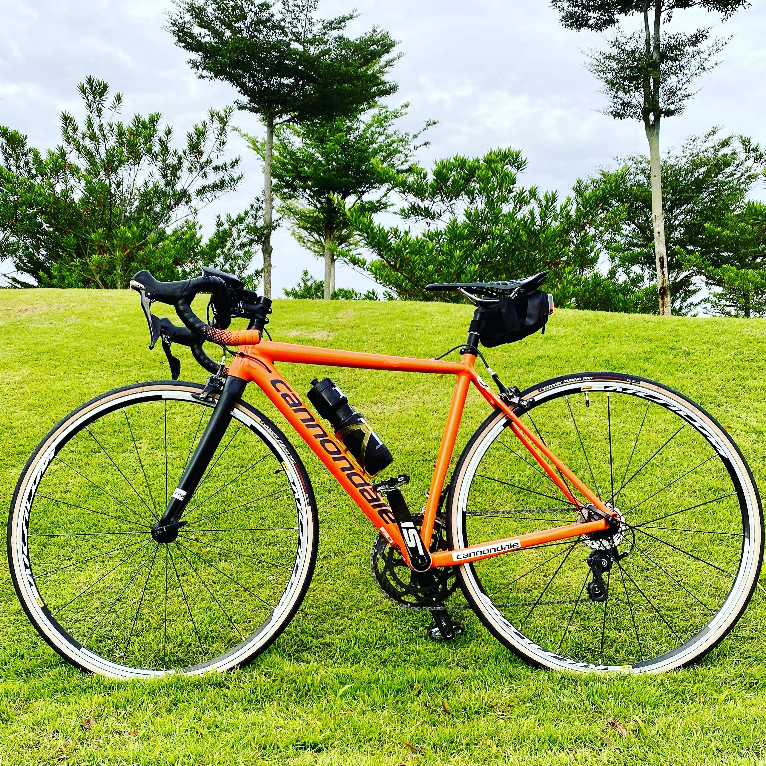 Cannondale CAAD12 size 48 Sports Equipment Bicycles Parts
