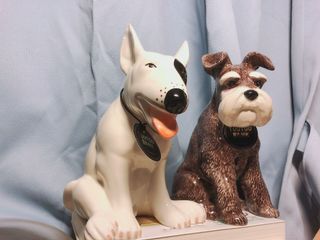 （分類：）位於 。 由 stanley_2046 提交（商品編號 1138180647，圖片 1）。簡介： 。