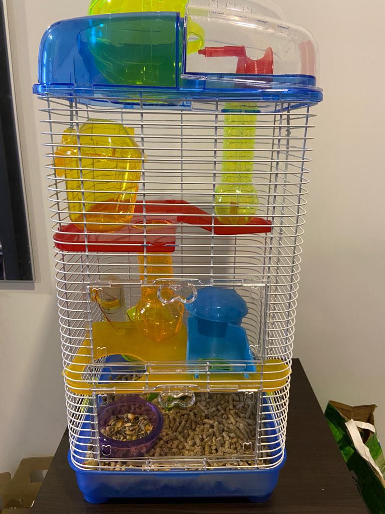 Hamster mansion deals