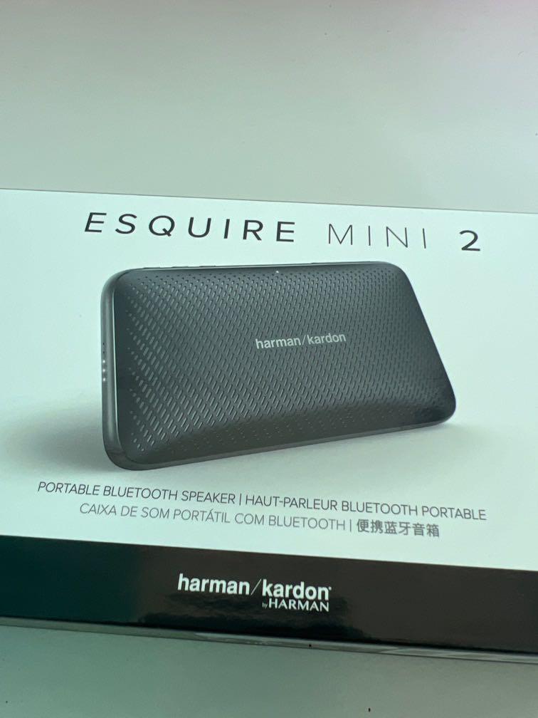 Harman Kardon Esquire Mini 2 - slim and 