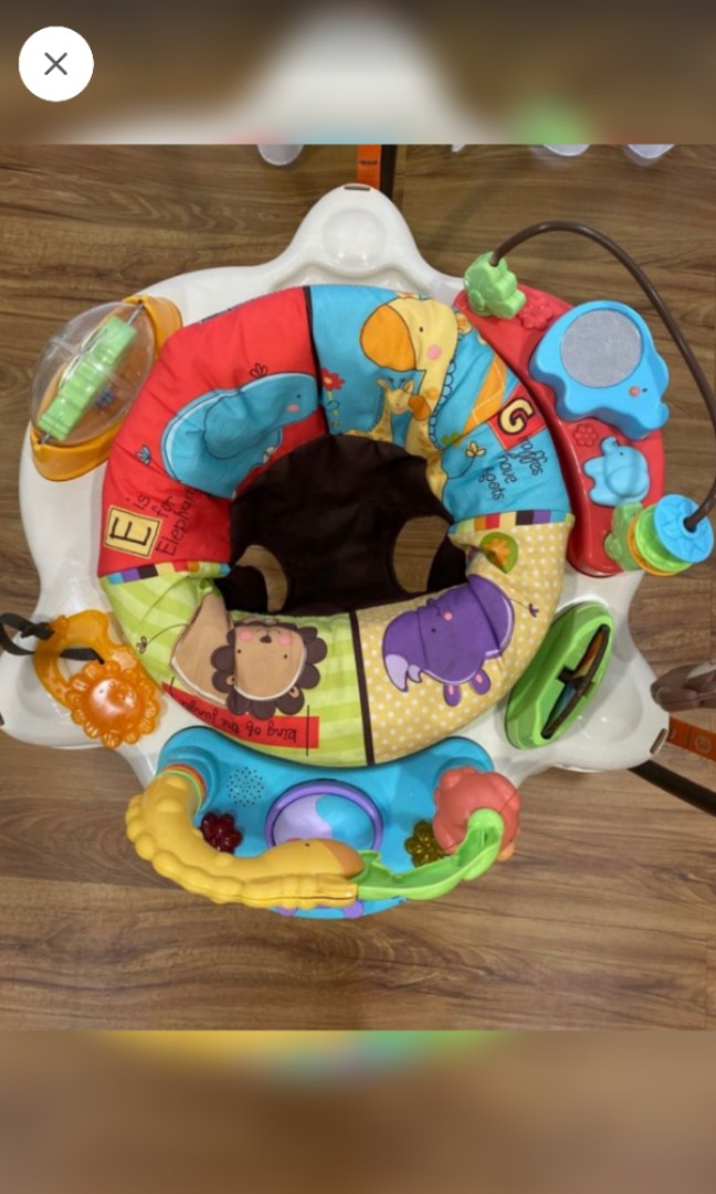 Jumperoo fisher hotsell price zoo