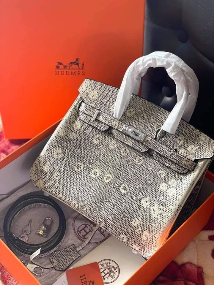 Limited Edition Hermes Birkin Ombre Lizard Luxury Bags Wallets on Carousell