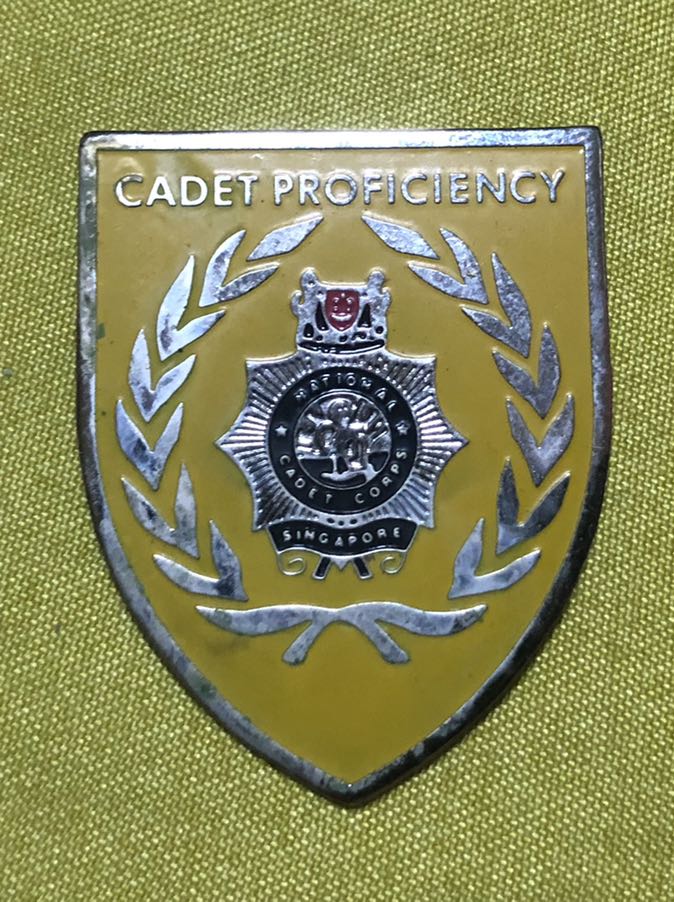 National Defense Cadet Corps Vintage Cap Badge NDCC Screwback 