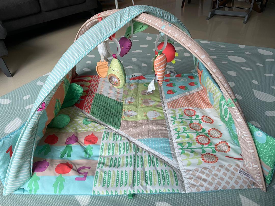 Skip hop farmstand grow and play activity gym new arrivals