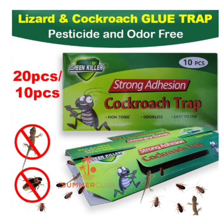 20pcs/10pcs Cockroach Trap Lizard Trap Glue Sticky with Bait Roach Killer  Pest Stop Home Car, Furniture & Home Living, Cleaning & Homecare Supplies,  Pest Control on Carousell