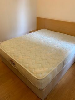 （分類：）位於 。 由 hk_flora 提交（商品編號 1138386660，圖片 1）。簡介： 。