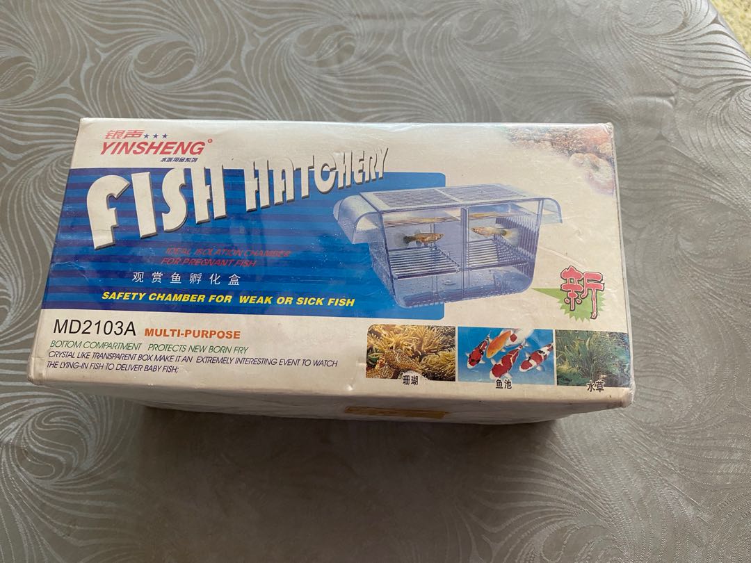 Fish hatchery, Pet Supplies, Homes & Other Pet Accessories on Carousell
