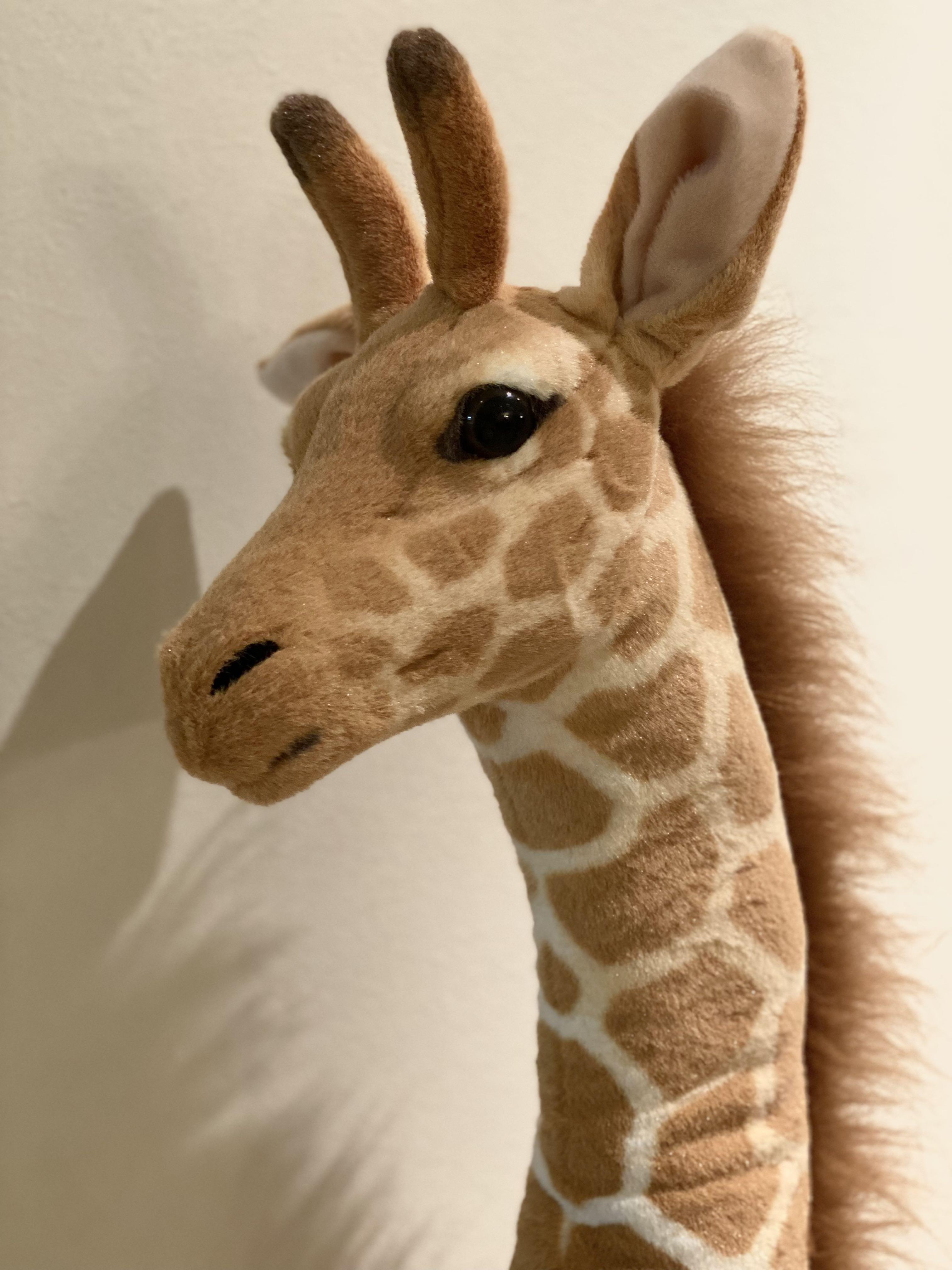 Giant Lifesized giraffe 1.38m, Hobbies & Toys, Toys & Games on Carousell