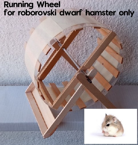 Hamster Wheel 12cm for Roborovski DWARF Hamster