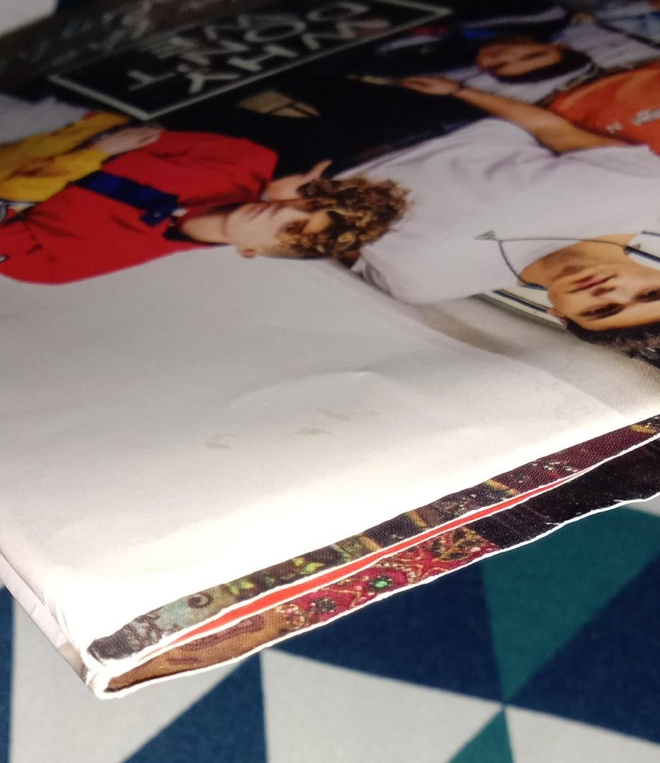 Why don't we 'in the limelight' book, Hobbies & Toys, Books & Magazines ...