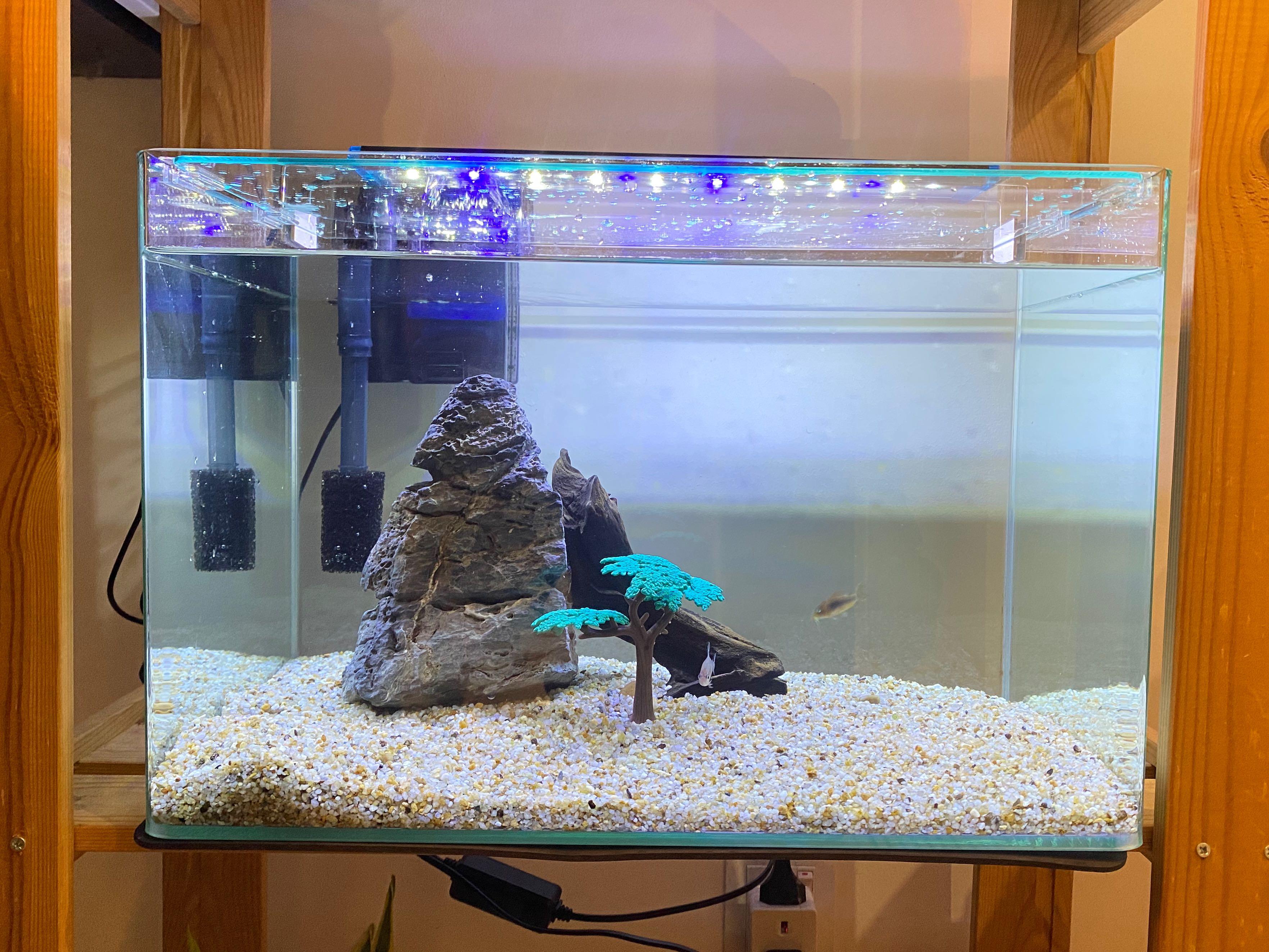 Aquarium Full Set, Pet Supplies, Homes & Other Pet Accessories on Carousell