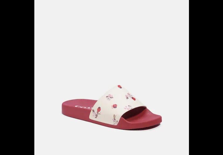 Coach Uli Sport Slide With Ladybug Floral Print Women S Fashion Footwear Flipflops And Slides On Carousell