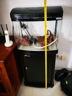 (Category: ) located in . Submitted by ronaldtan96 (Listing ID 1134920808, Image 1). Description: .