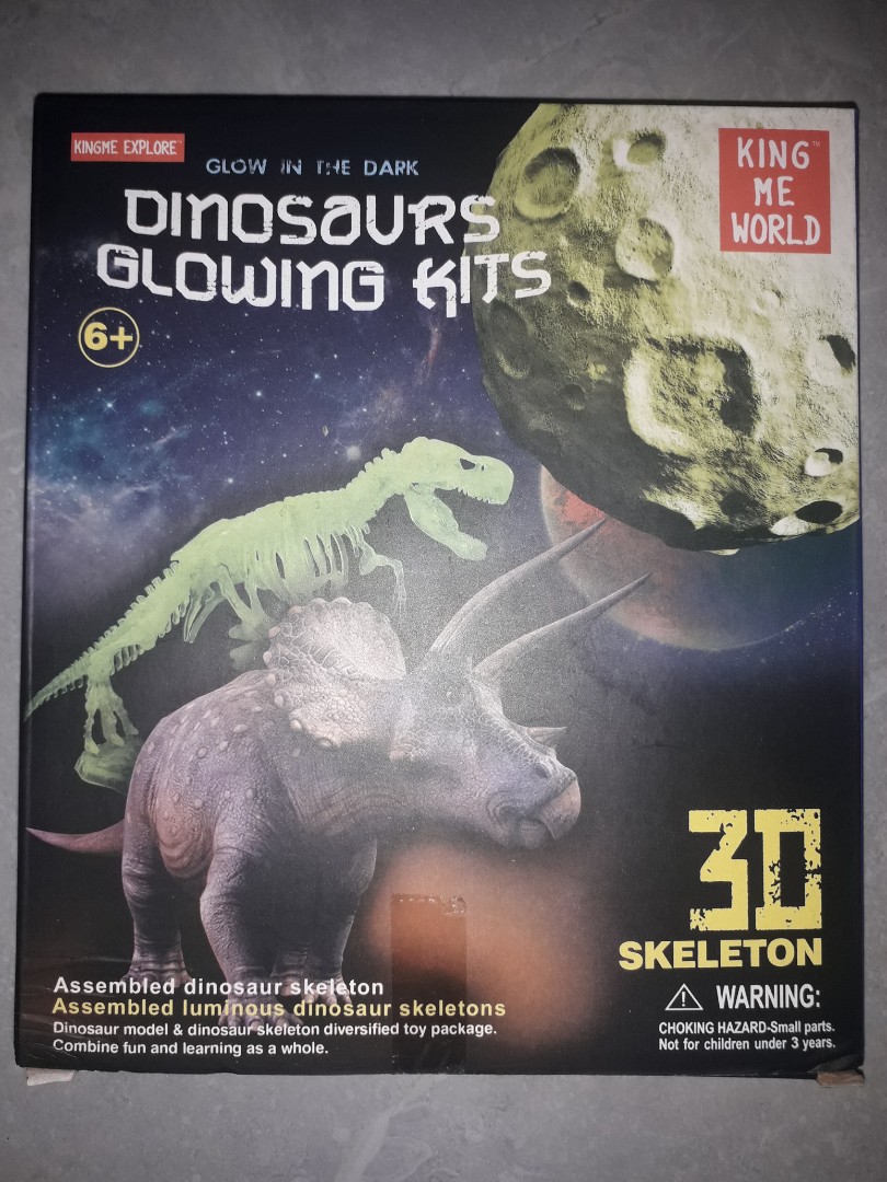 GLOW IN THE DARK DINOSAURS GLOWING KITS, Hobbies & Toys, Toys & Games