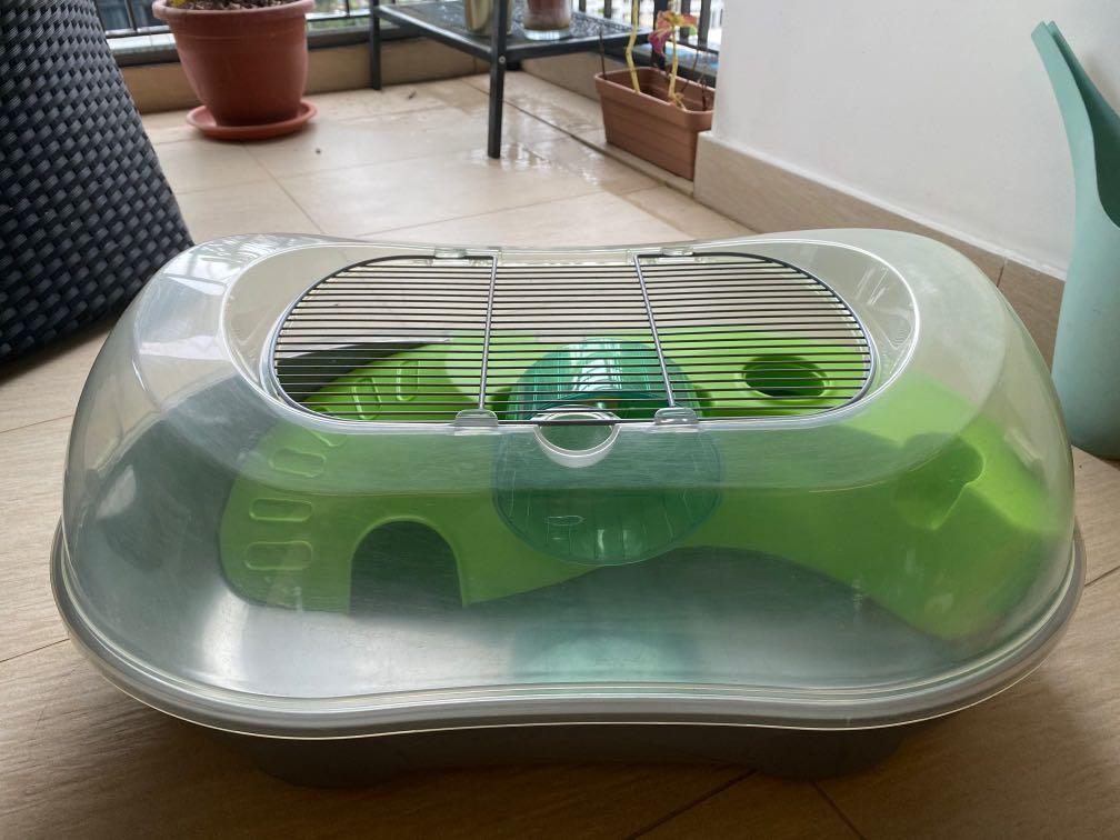 hamster cage essentials