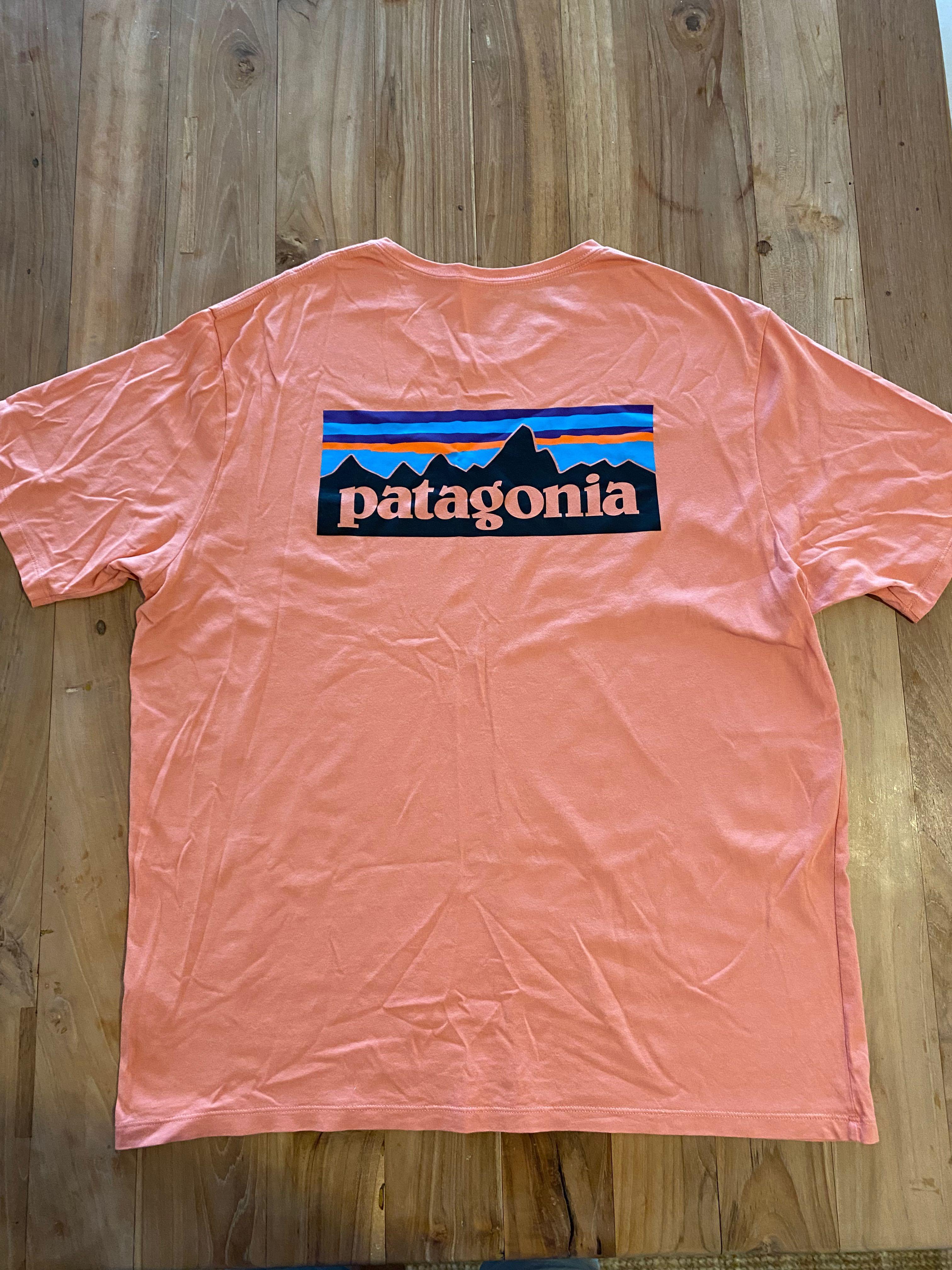 patagonia shirt large